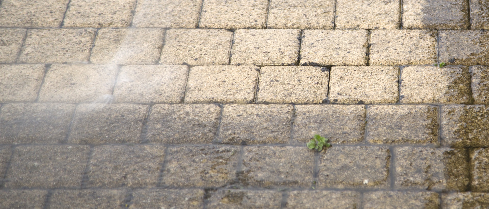 flagging and patios WD4