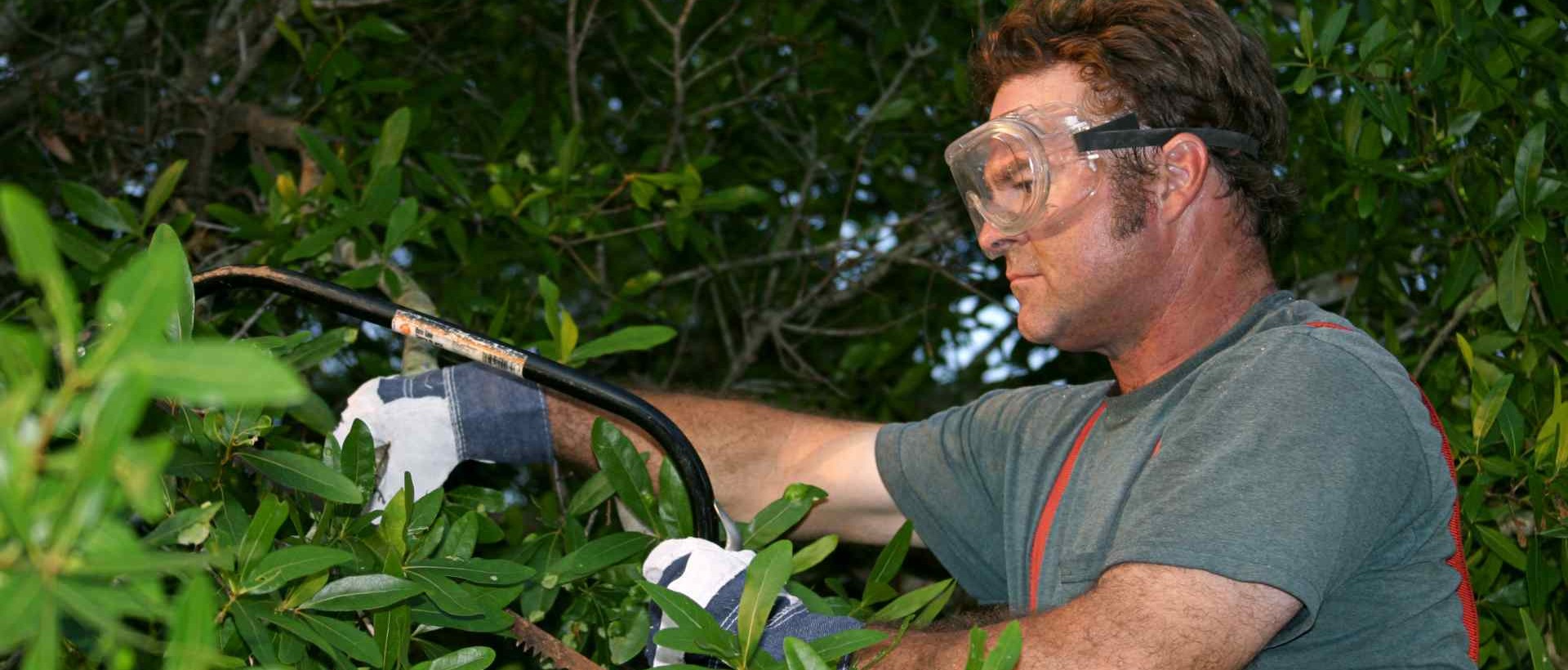 garden clearance WD4
