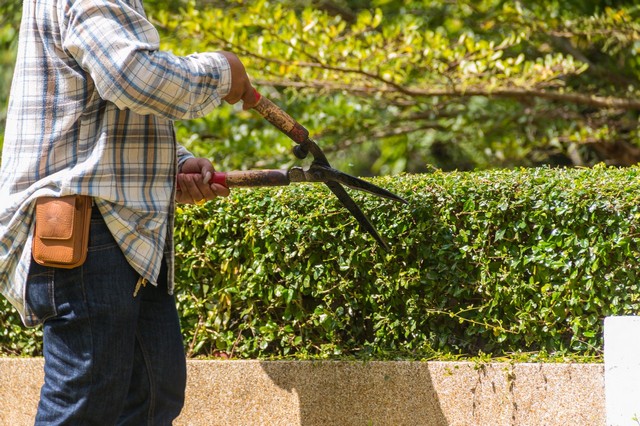 Garden Maintenance Kings Langley, Chipperfield, WD4