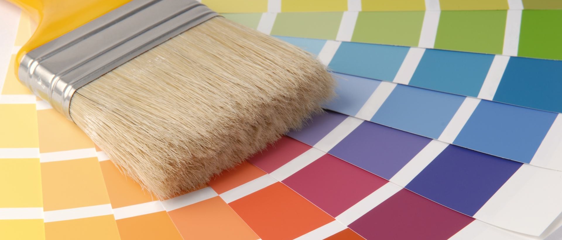 Painter WD4